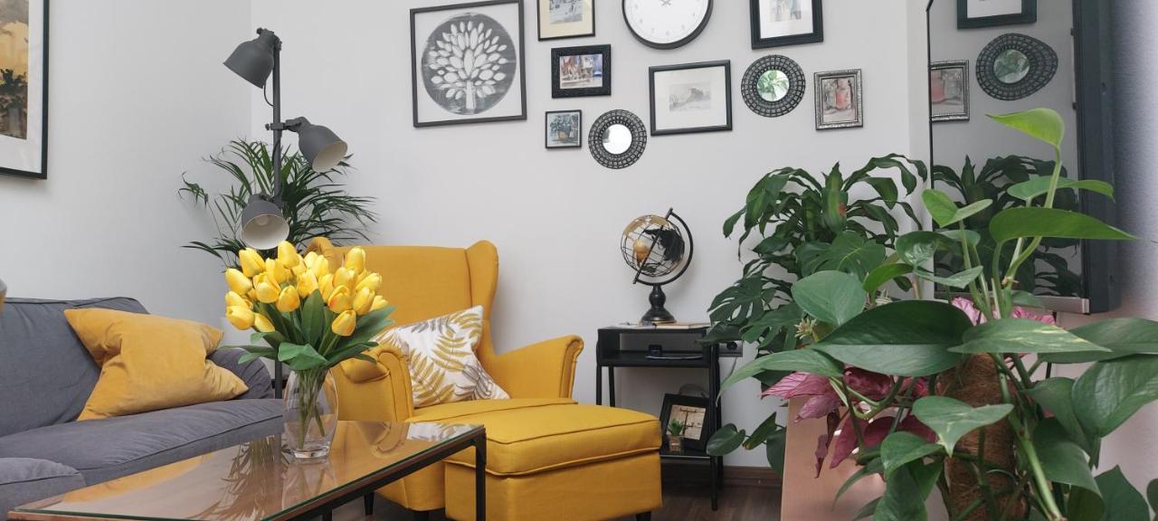 Apartamentos Los Descalzos Free Parking Ронда Экстерьер фото