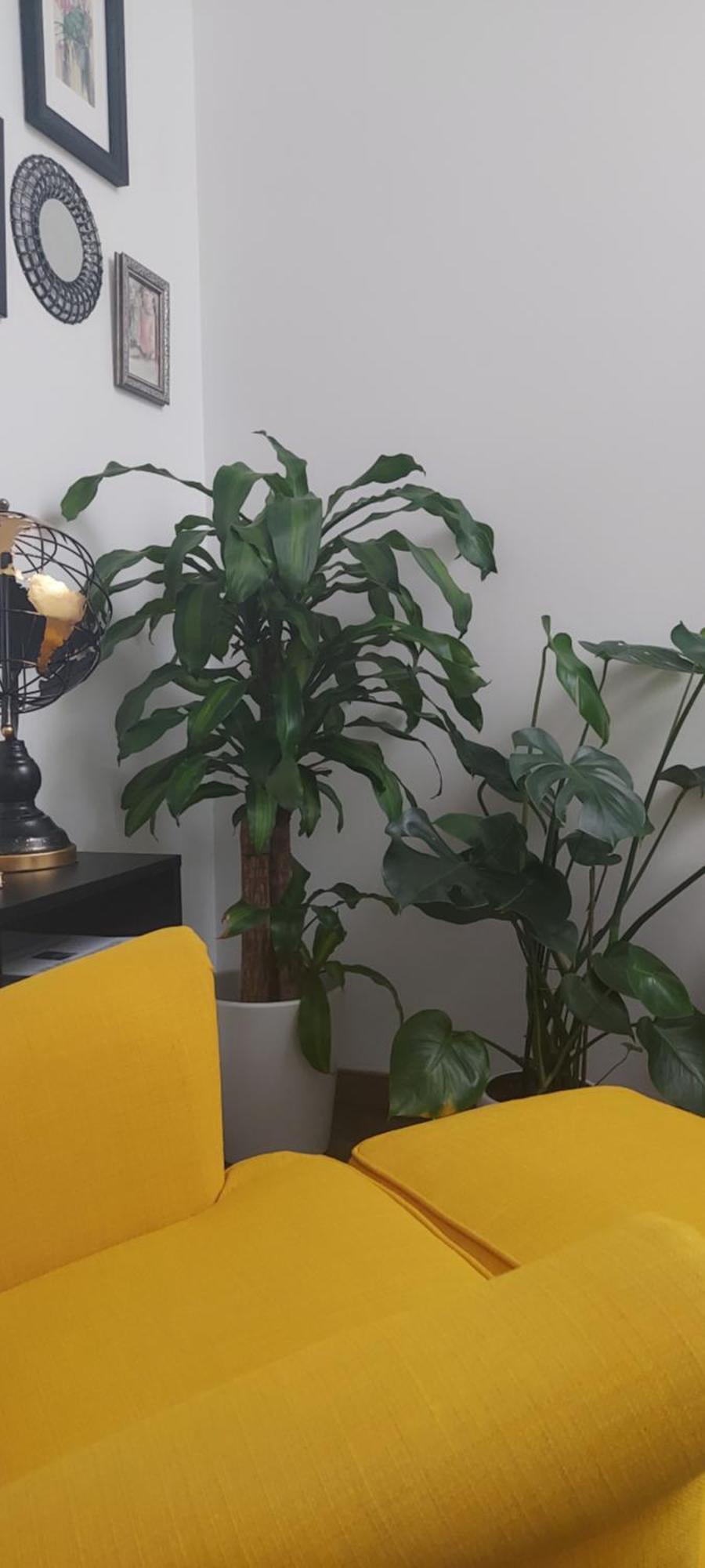 Apartamentos Los Descalzos Free Parking Ронда Экстерьер фото